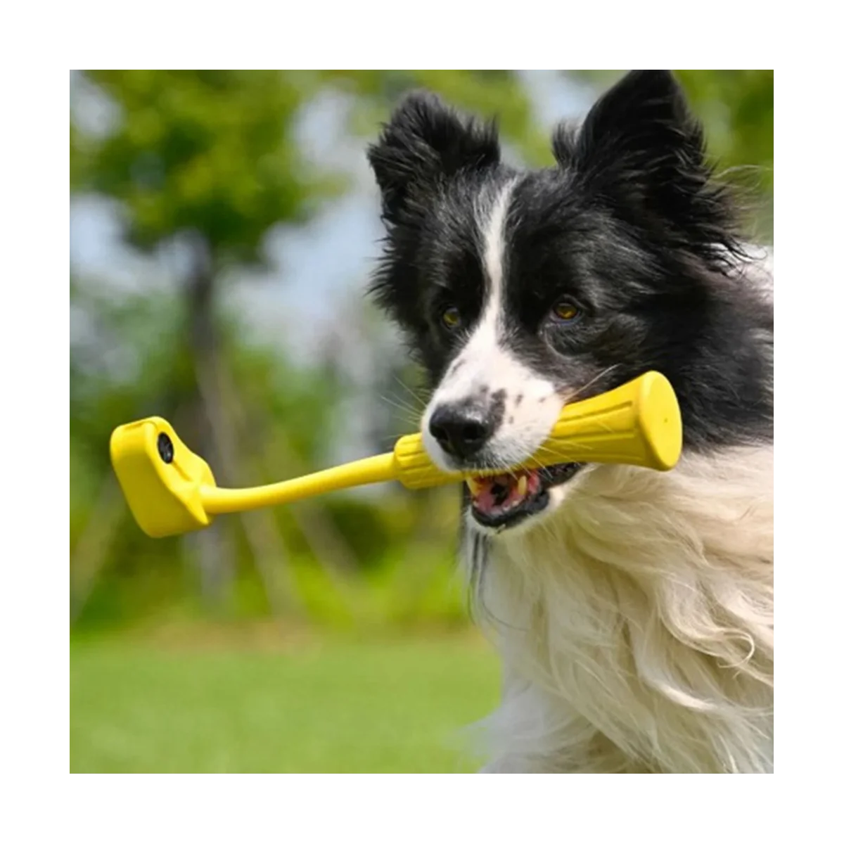 Selfie Stick para Insta360 GO 3, Pet Boca Mordida, Acessórios Profissionais, Perspectiva Única Material de Borracha, Registro