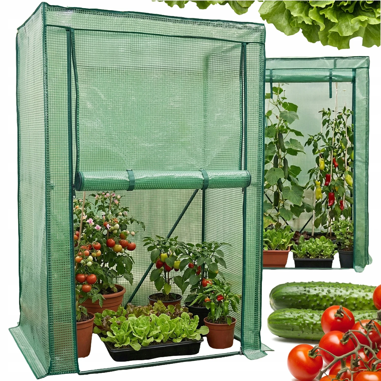 Mini serra da giardino e balcone con tunnel in alluminio per piante, 150 x 100 x 50 cm, design moderno, pratico, affidabile, elegante, semplice, multiuso, soluzione per la serra da giardino per tutti