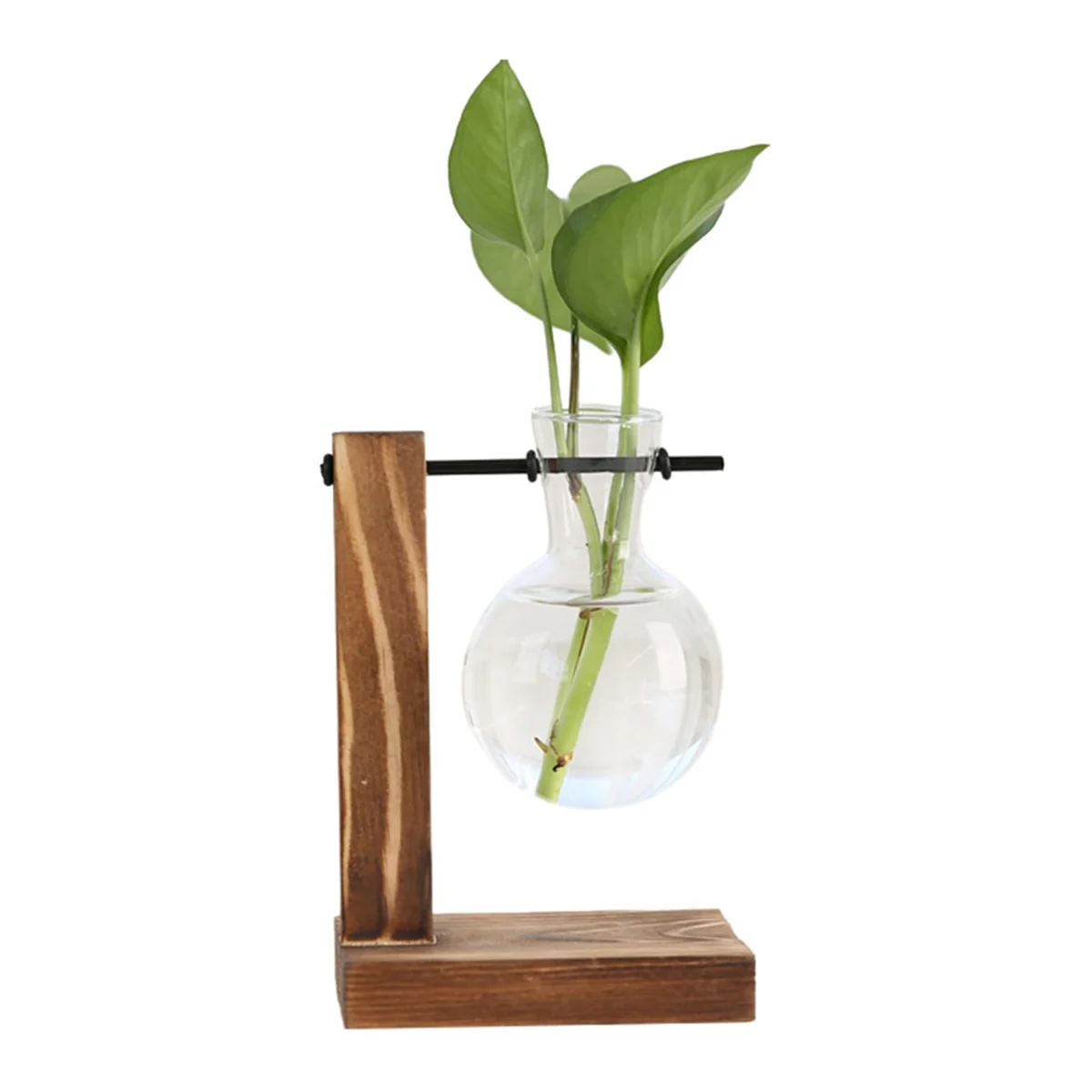 A Plant Propagation Stations Desktop Plant Terrarium,Glass Planter with Stand,Propagation Station for Hydroponics Plants