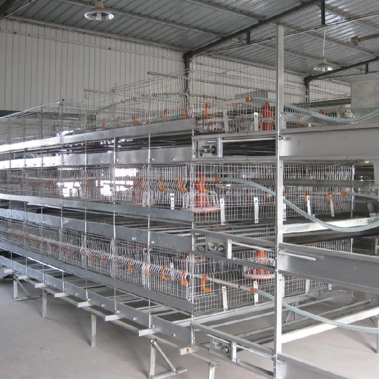 

Hot sale and Popular poultry farm equipment 20000 Broilers 3/4/5 Chicken Cage