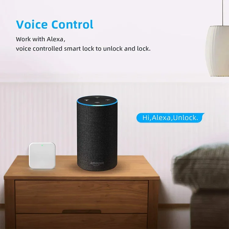 2021 Google home and amazon alexa app compatible code fingerprint push pull digital smart door lock