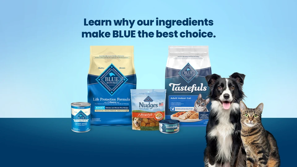 Nudges Jerky Cuts Guloseimas para cães, Frango, 16 onças. Bolsa