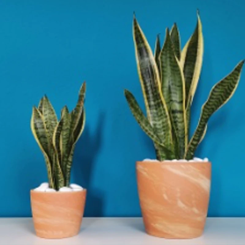 

DarwinFPV Darwin240 5inch FPV Carbon Fiber Frame 240mm Wheelbase Freestyle Long Range Frame for RC Quadcopter Racing Drone