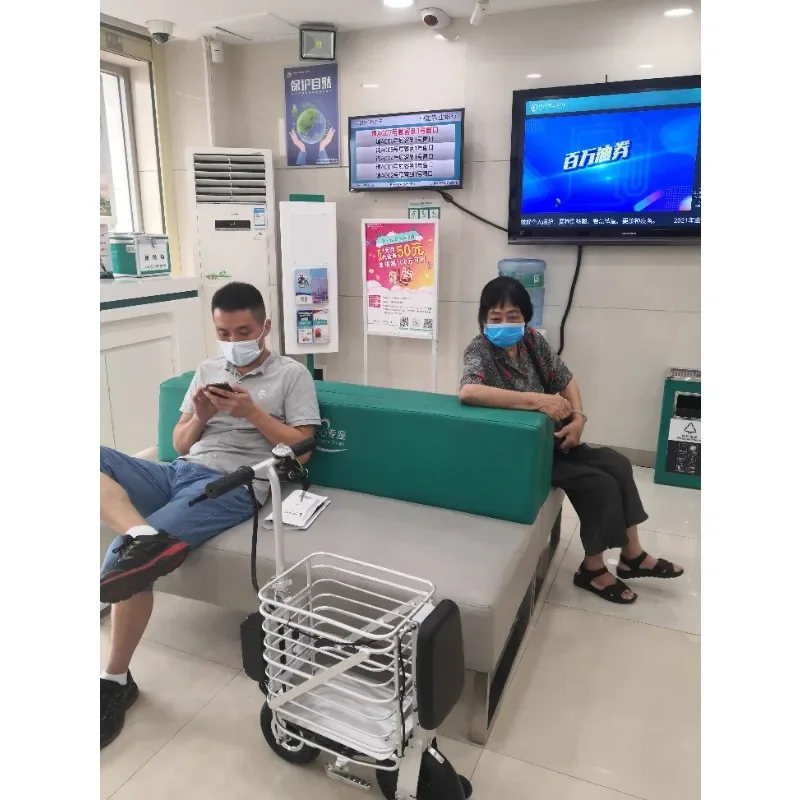 Elderly transportation electric tricycle household small mini electric lightweight shopping pet