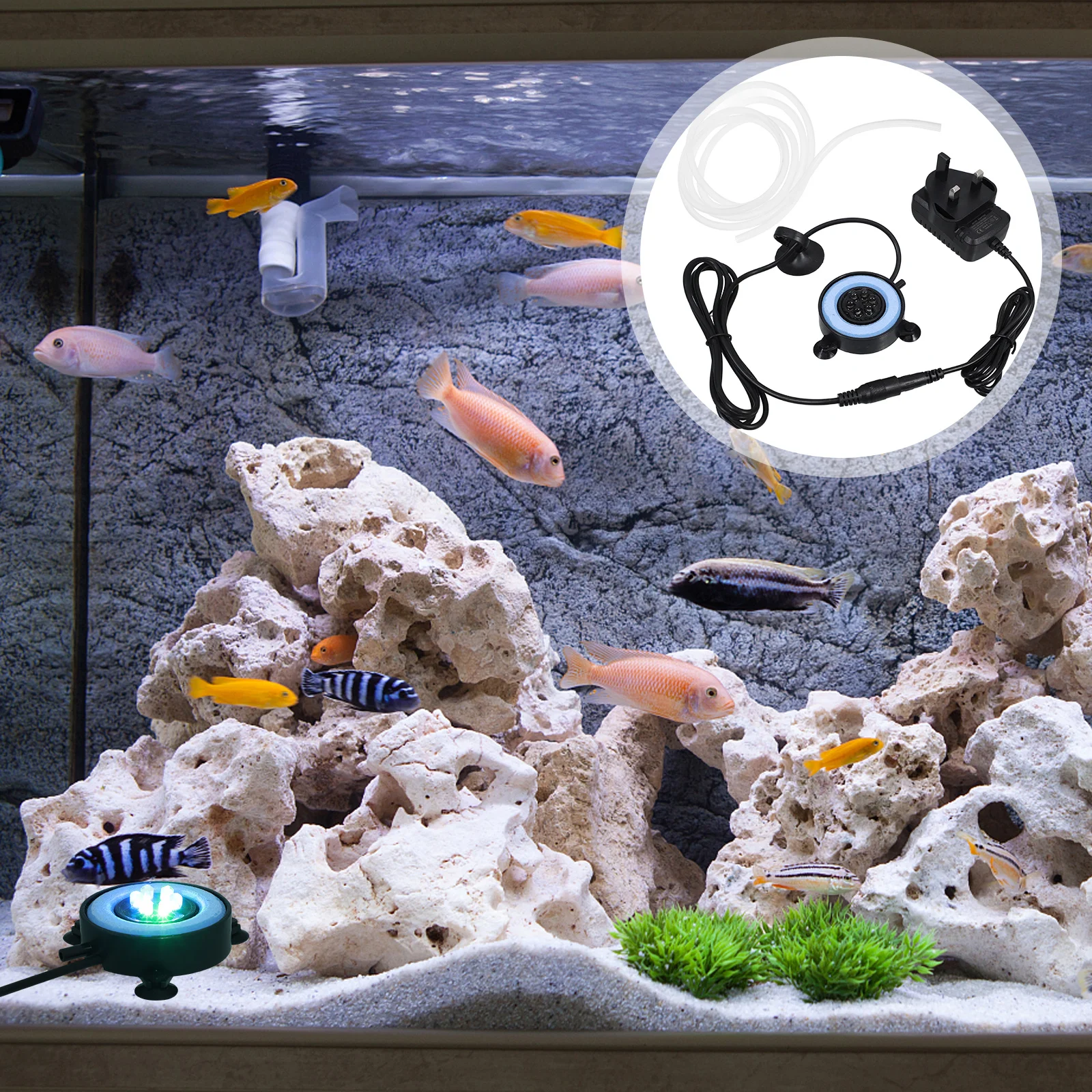 

Aquarium Light Led Fish Tank Lamp Round Bubble Light For Photosynthesis Durable Decorative Floodlight Blue Uk Plug