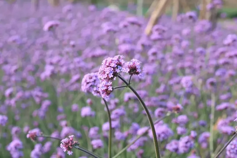 

Литий-ионный аккумулятор 36 В, 10,4 Ач, 10S4P 18650, 600 Вт, 30 А, подходит для велосипедов, автомобилей и электрических скутеров, со встроенным BMS