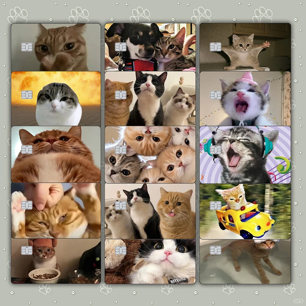 Cute Cat Meme Credit Card Skin Stickers Cat Posting Matte Sticker for VISA JCB MasterCard and Other IC Magnetic Cards