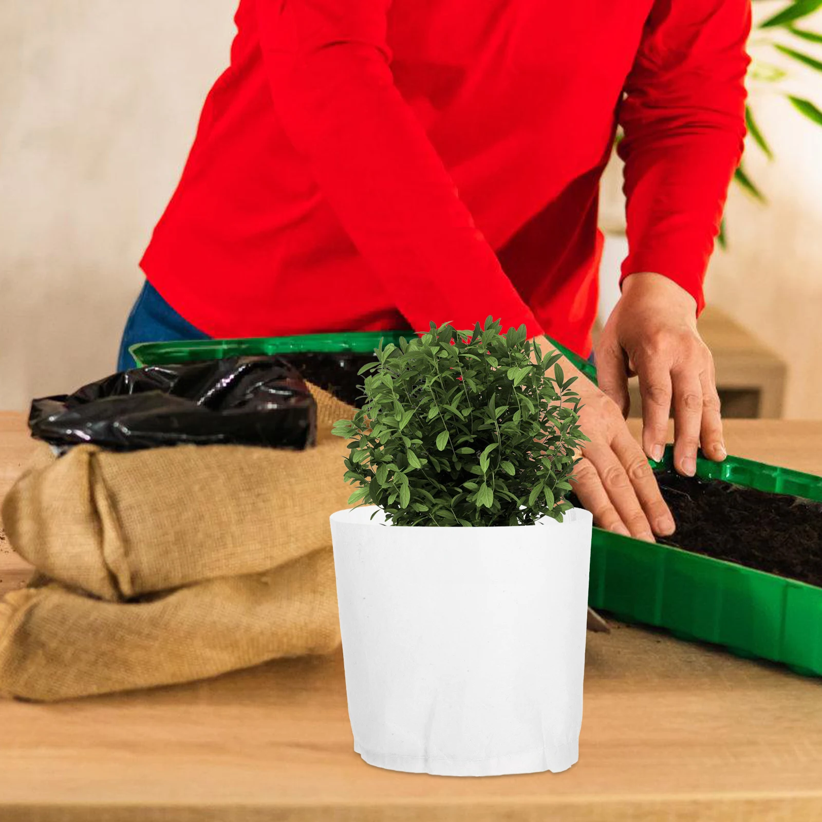 

10 Pcs Non-woven Planting Bag Cloth Grow Bags Gardening Flower Pot Fabric Protection Thick Section to Vegetables