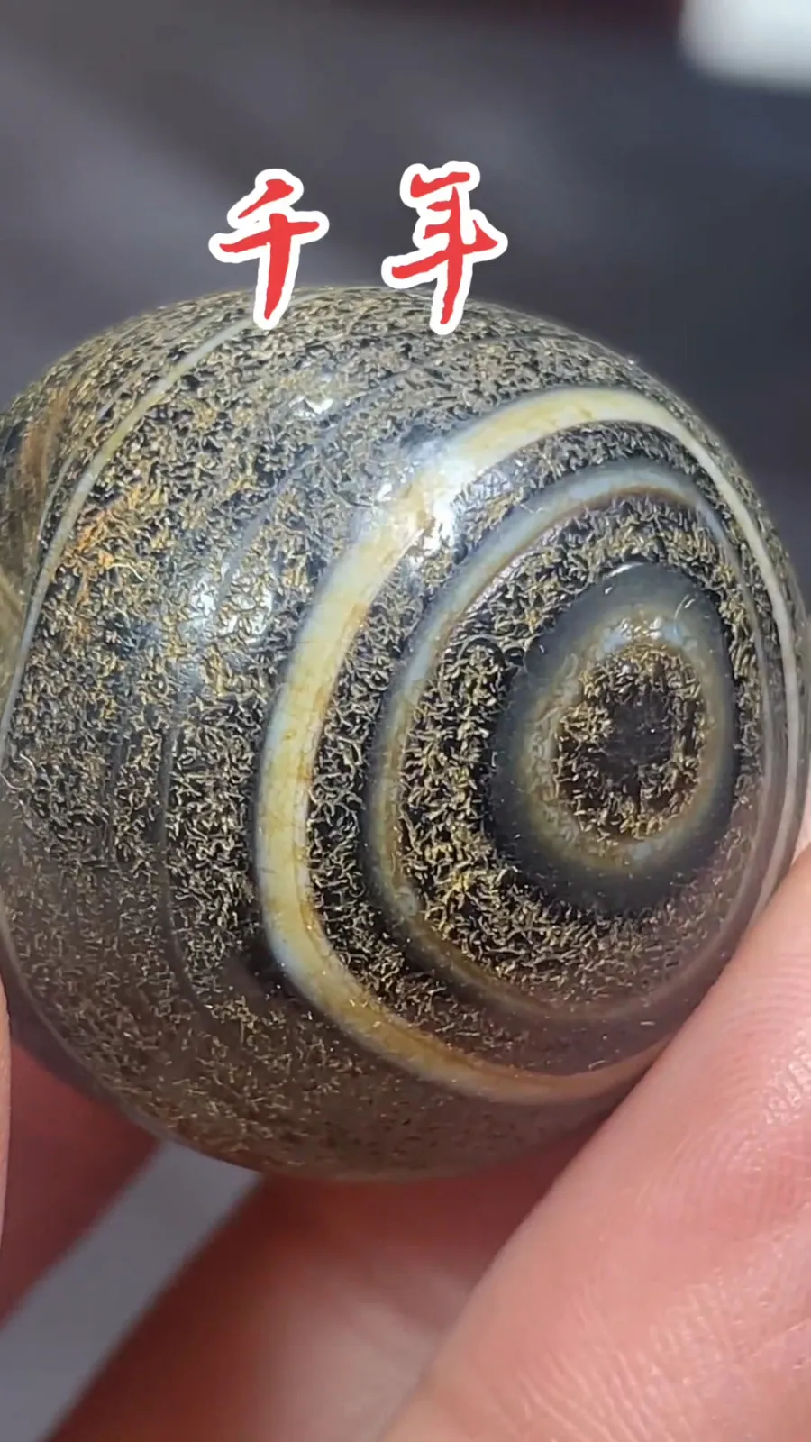 Tibetan Nepalese Himalayan Bead Ancient agate Old Dzi Talisman 1 eye Bead Amulet