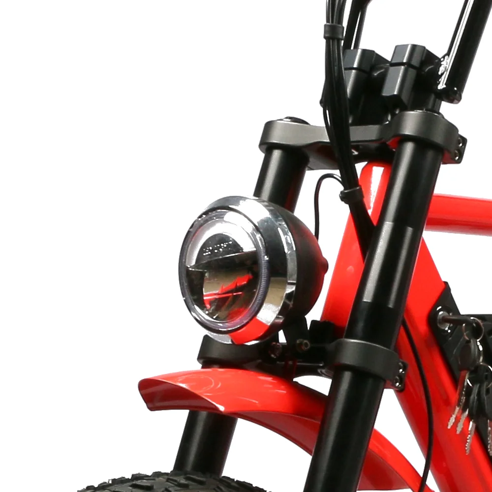 Full Suspension Electric Bike Aluminum Alloy Frame City E Bike 48v 1000w E Bike Fat Tire Conversion Kit with Side Boxes view 5