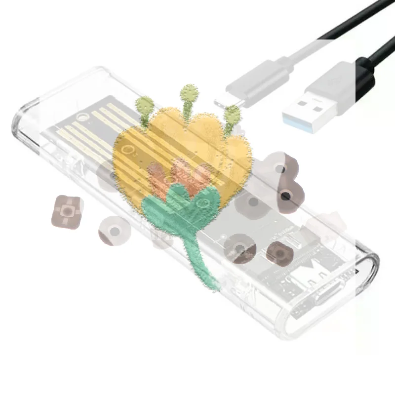Transparent M2 NVMe SATA SSD Enclosure 10Gbps High Speed Transfer RGB Light For Portable Data Storage Office Travel