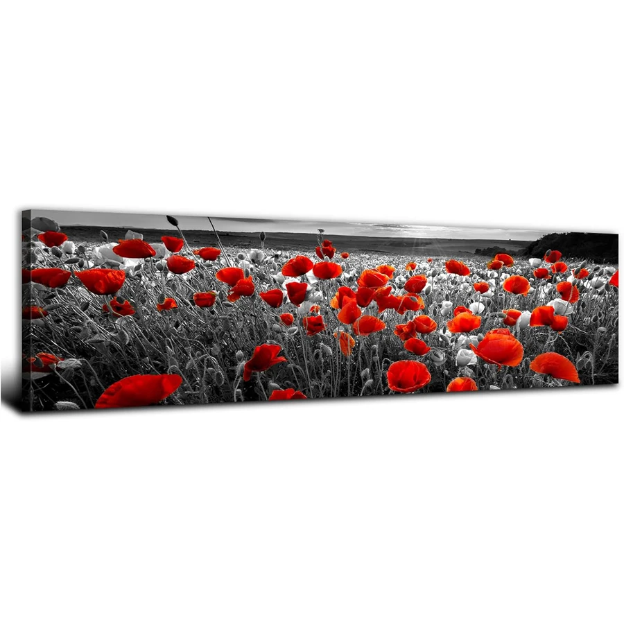 

Красный мак алмазная живопись Ретро Ванная комната природа полевой цветок Настенный декор черно-белые цветы пейзаж восход солнца страна цветочный