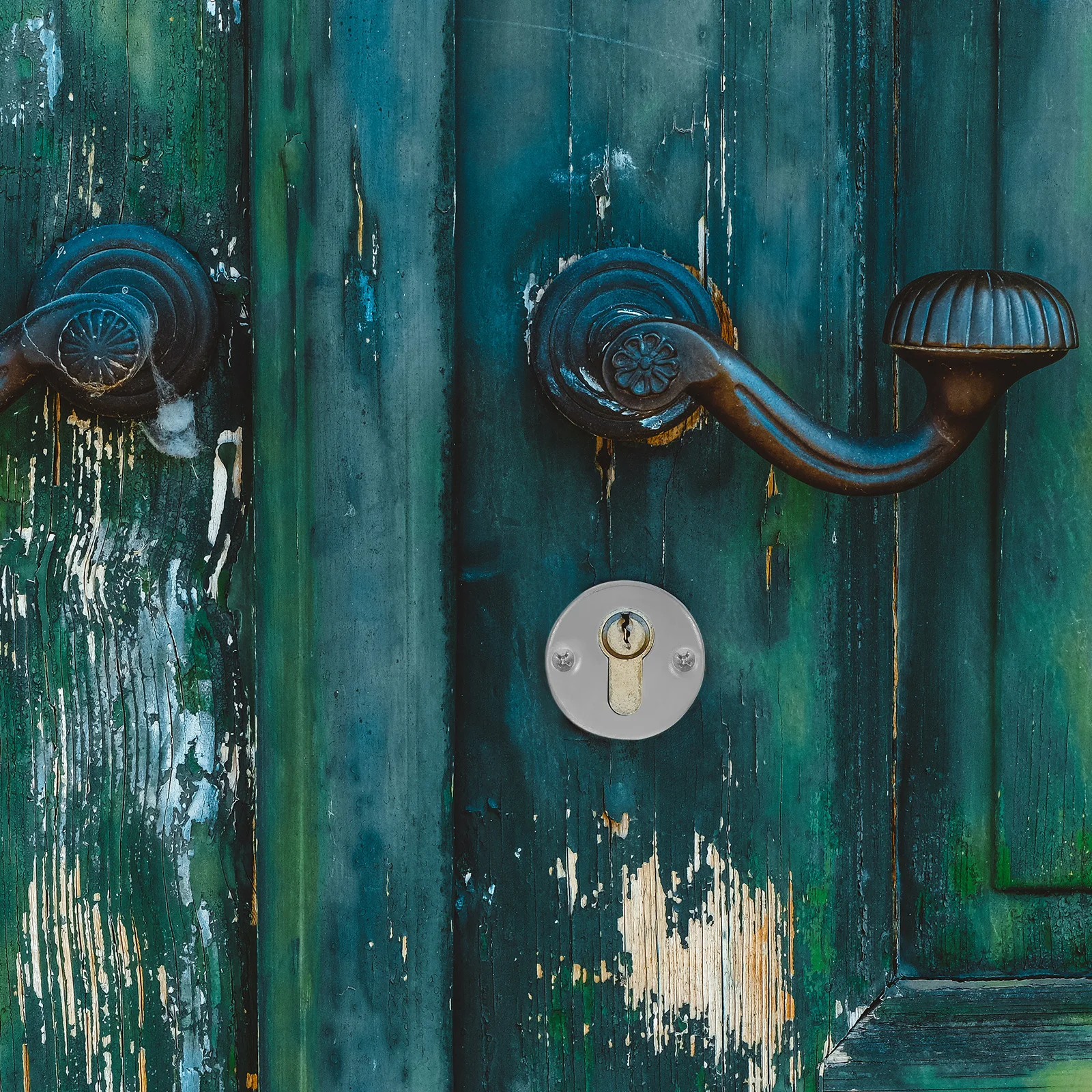 

Stainless Steel Door Lock Escutcheon Cover Rustproof Wear-Resistant Door Striker Protection Plate Lock Cap Hardware