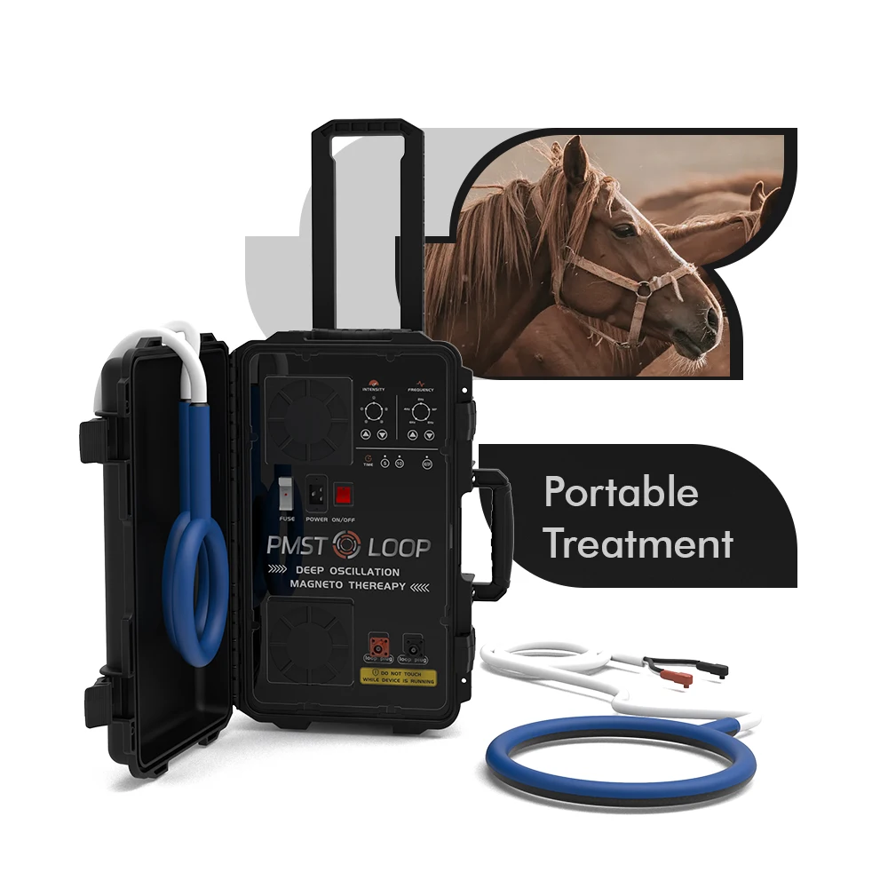 Equine PEMF Machine PMST Physio Magneto Super Transduction Loop For Horses Injury Treatment