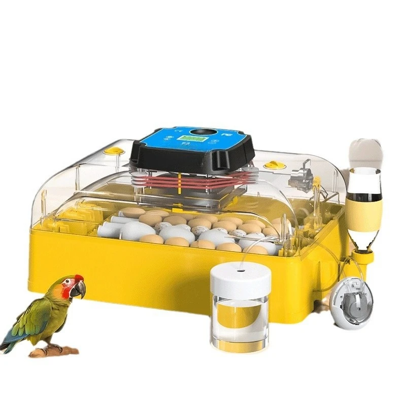 Automatic incubator, chick, rutin chicken, incubator, constant temperature
