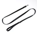 leash 2