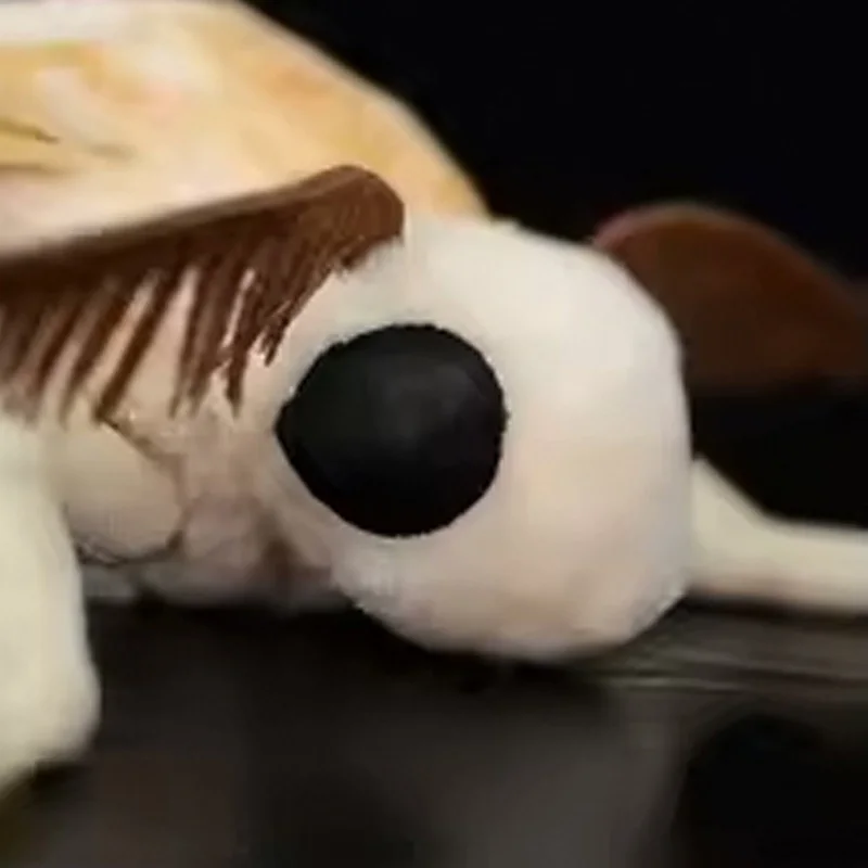 25 cm carino seta falena fedeltà baco da seta peluche volare giocattoli di peluche amanti degli insetti decorazione morbidi cuscini regalo di Halloween per bambini