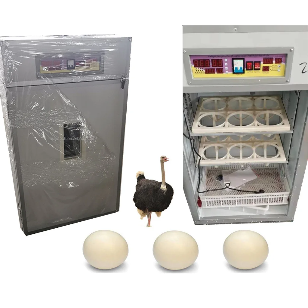 

Ostrich Egg Incubator HJ-I6 for Hatching 12 Eggs - Factory Direct Ostrich Egg Tray Incubator at Competitive Prices