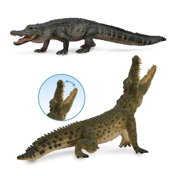 الحيوانات البرية محاكاة لعبة مجسمة النيل التمساح الأمريكية قصيرة Snouted التمساح الشعور المادي يمكن أن يكون لعبة مجسمة العملي #1