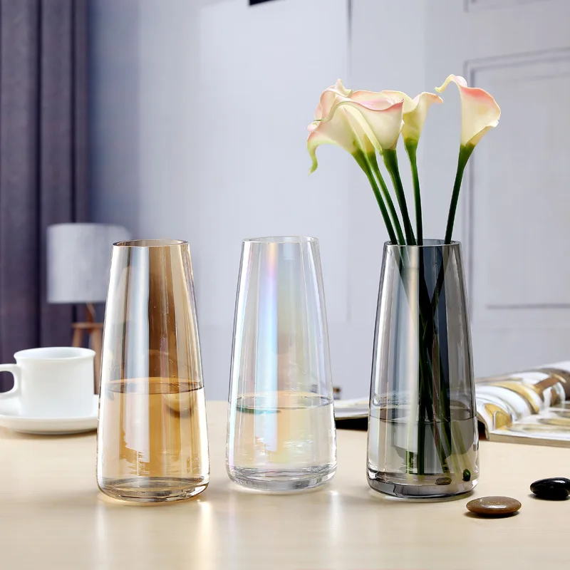 Nordic ins Aurora Symphony Glass Vase Transparent Flower Arrangement Water Care Simple Desktop Small Fresh Gold Vase