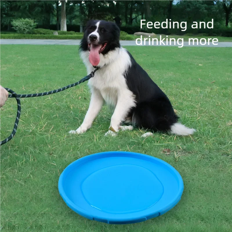 Grote Hond Gouden Vacht Huisdi - Flying Disc Dog Training Toy recensie en prijs