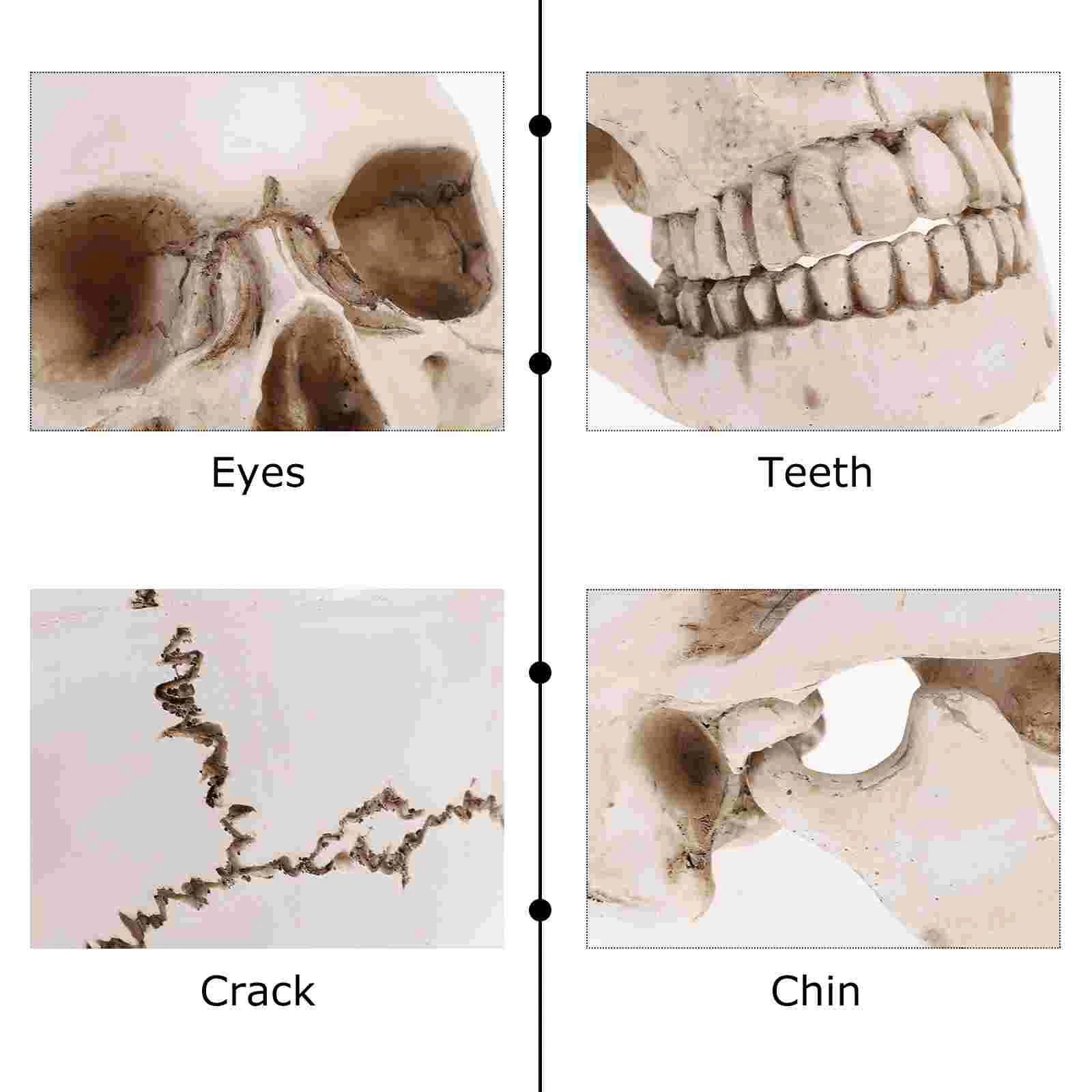 Модель человеческого черепа, анатомическая и отслеживающая, небольшой декор для Хэллоуина, уличный декор для медицинской смолы, украшения призраков