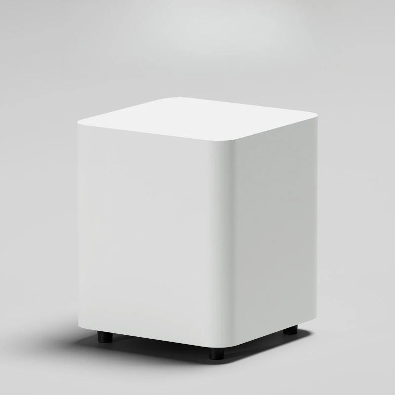 

Subwoofer 10 inch HIFI home speaker stereo