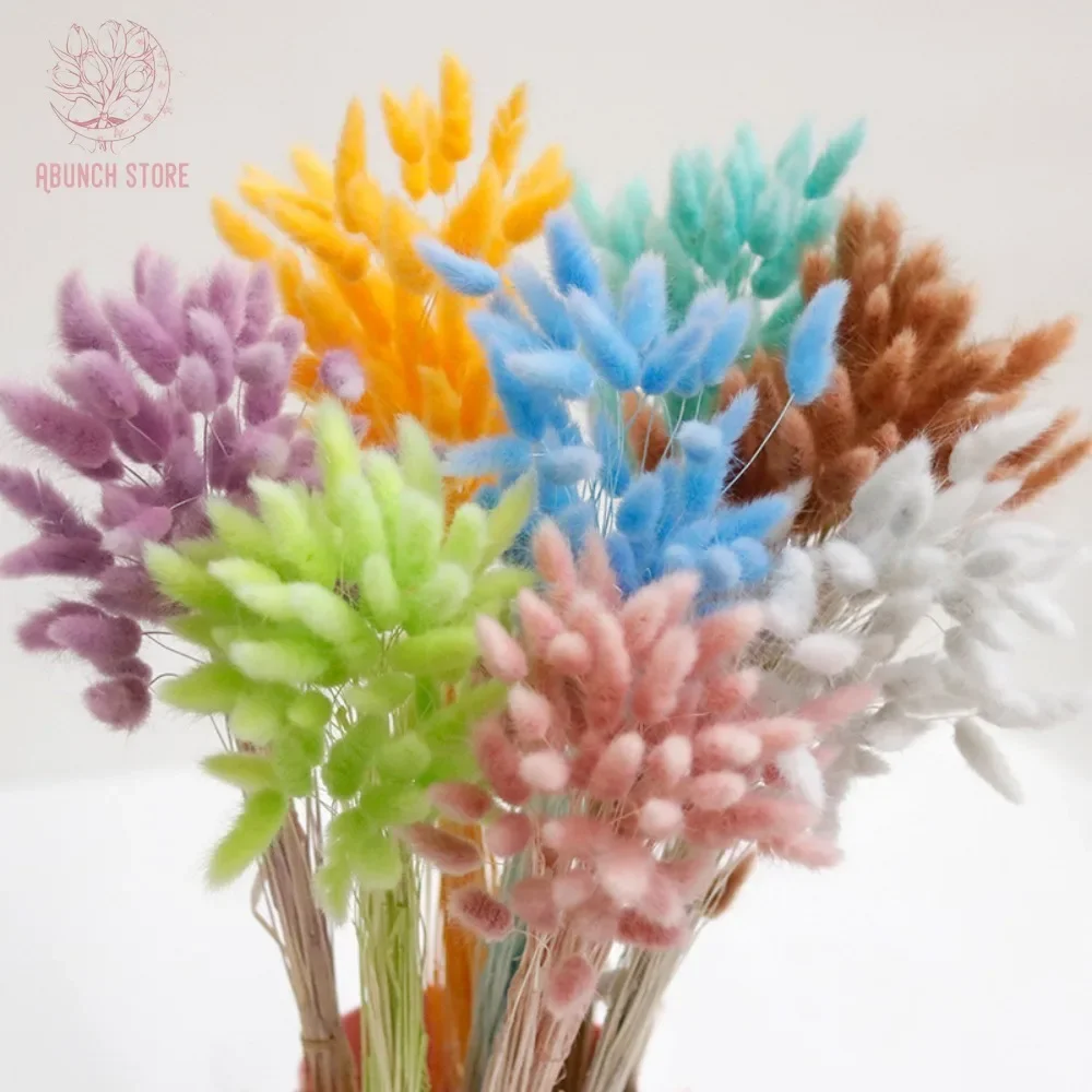 

60Pcs Natural Rabbit Bunny Tails Grass Dried Flowers Bouquet Colorful Lagurus Ovatus Home Photo Props Wedding Table Decoration