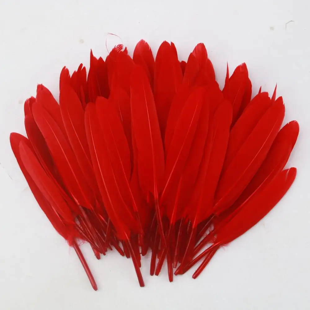 46 Styles Red Feathers DIY Crafts Natural Pheasant Rooster Duck Feather for Mask Costume  Assortment Clothing