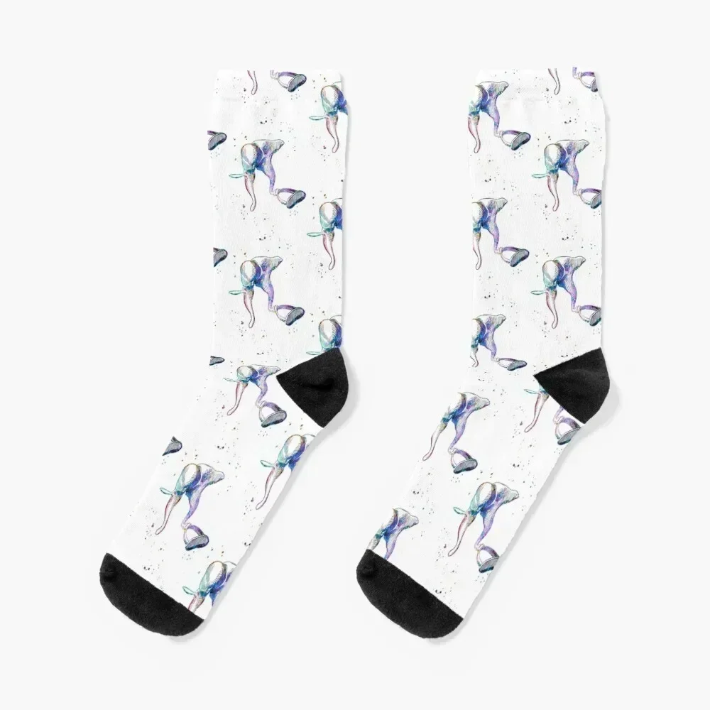 

Middle Ear Anatomy Socks gifts sheer soccer anti-slip floor Mens Socks Women's