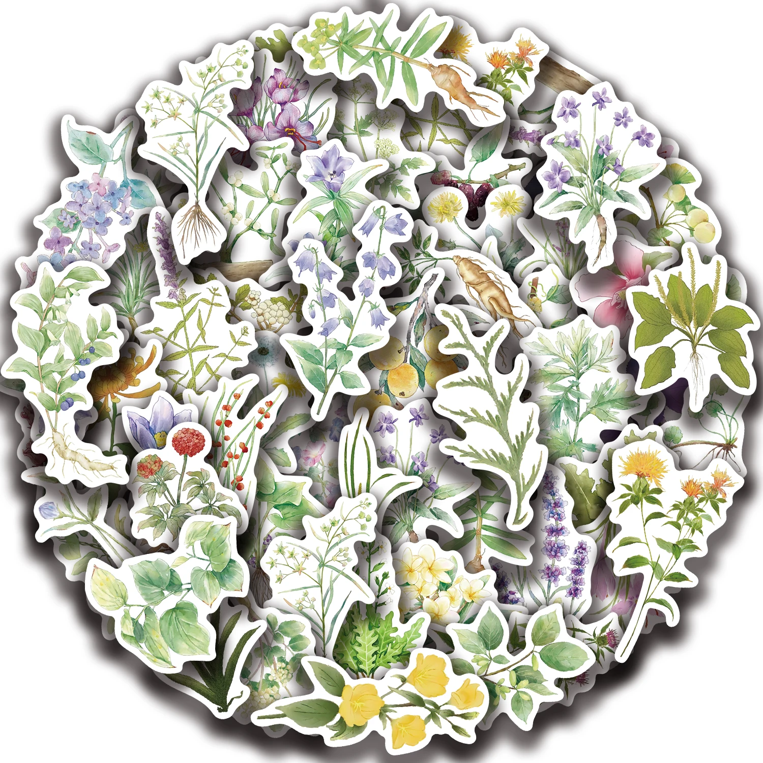 50PCS Creative โรงงานยาจีนสติกเกอร์เคสโทรศัพท์โน้ตบุ๊ค DIY สีน้ําภาพวาดสไตล์สติ๊กเกอร์สติ๊กเกอร์