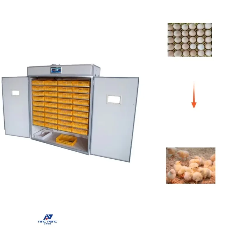 Poultry Egg Incubator Machine Solar Eggs Incubator Hatching Machine 500-egg-incubator-machine