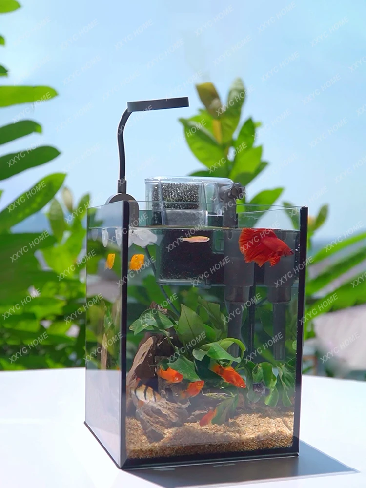 

Super White Glass Vinyl Fish Tank Household Small Ecological Filter Desktop Landscape