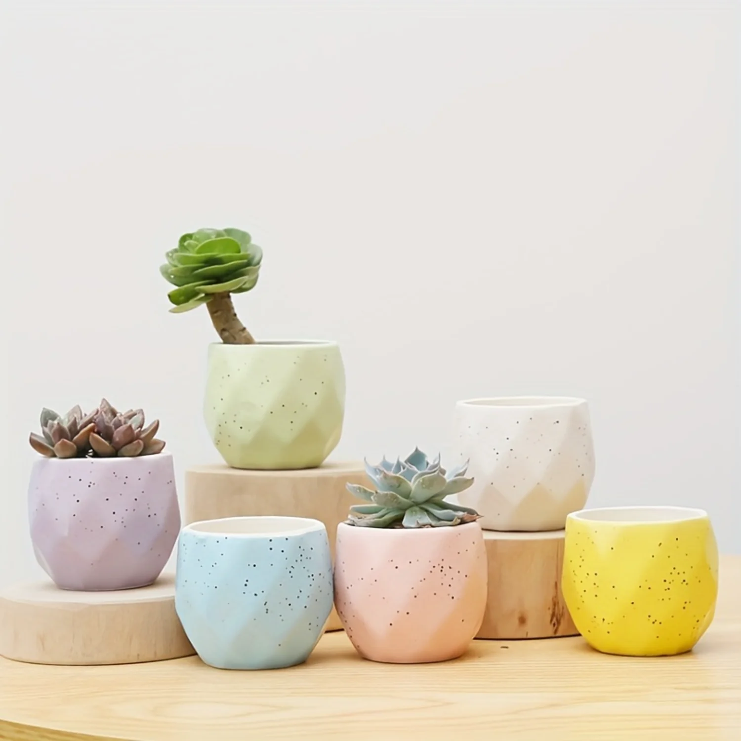 

6pcs Macaron Ceramic Succulent Pots Set - Mini Cactus & Thumb Planters - Vibrantly Colored Desktop & Office Decor