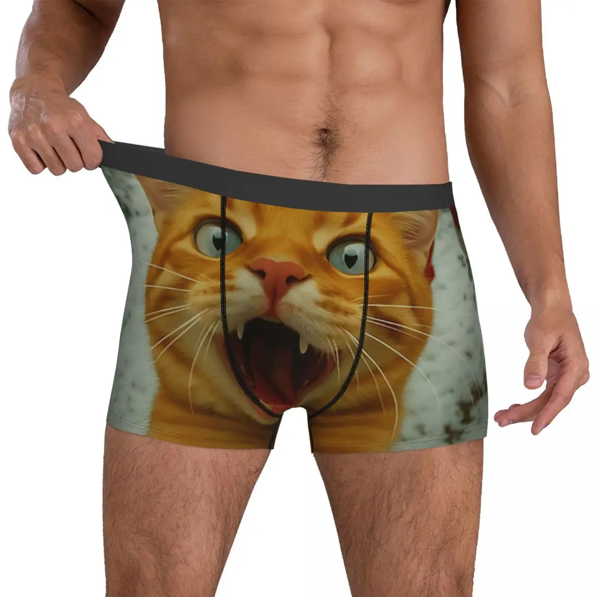 

Cat Selfie With Santa Claus Kitten Christmas Lover Underwear Man Boxer Brief Breathable Boxershorts Hot Sale Large Size Panties