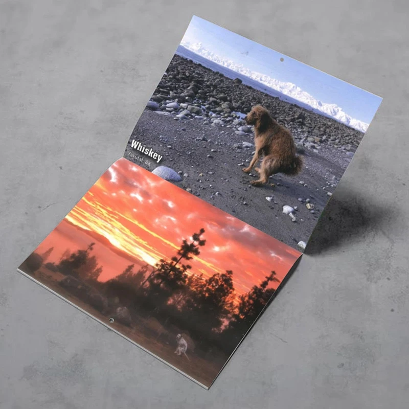 تقويم حائط بشكل كلب كما هو موضح بالورق ، مضحك 2024 ، بوتشيز مع أماكن جميلة ، تقويم مخطط للعائلة ، قطعة واحدة