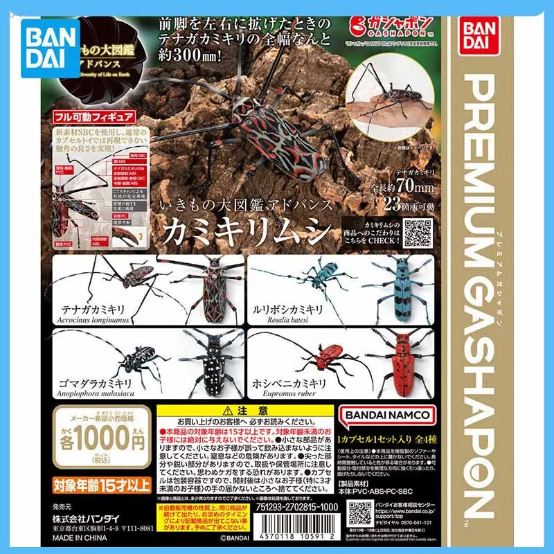 

Original Bandai Opening Japanese Gashapon Creature Mini Tenebrae Insects Movables Joint Model Capsule Collectibl Children Toys