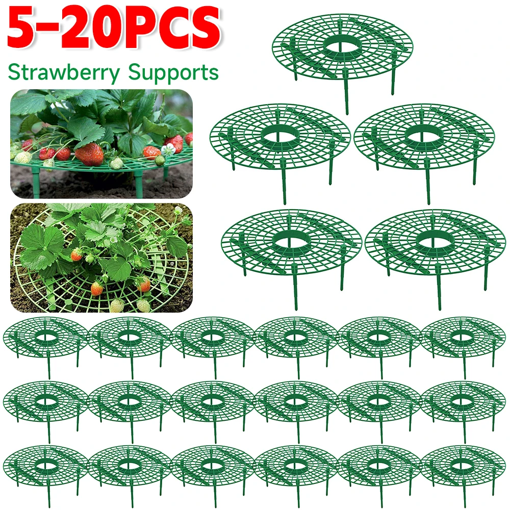 5 sztuk podpór truskawkowych z 4 solidnymi nogami rośliny ogrodowe stojak na owoce regały do uprawy truskawek z podstawkami ogrodowymi