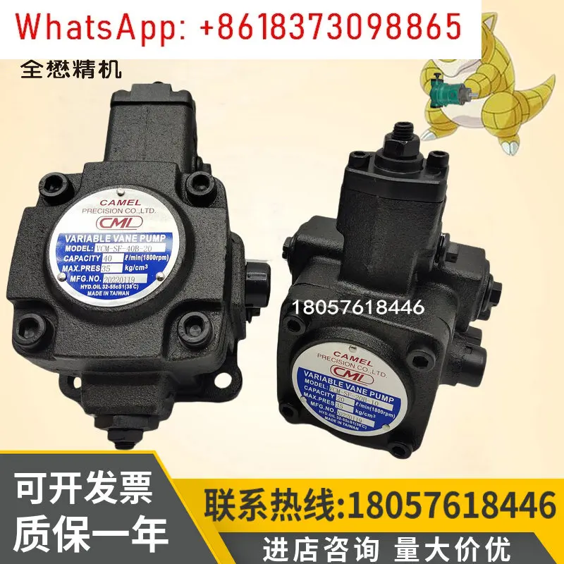 1Pcs CML VCM-SF-20D/15D-10 Oil Pump VCM-SF-30D/40D/40B-10 Vane Pump