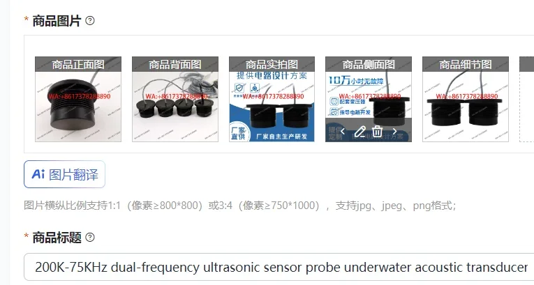 200K-75KHz dual-frequency ultrasonic sensor probe underwater acoustic transducer burst vibration DYW-75/200-E