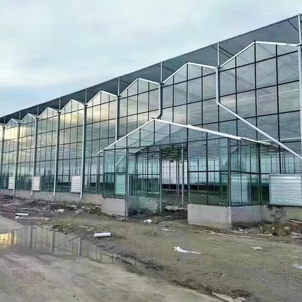

Customized greenhouseDurable Agricultural Glass Greenhouse - Multi-Span for Vegetable/Flower Farming - Factory Direct Wholesale