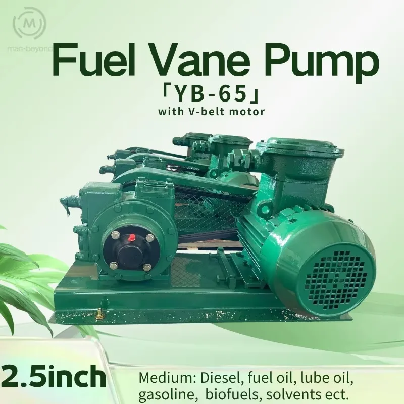 Fuel Control Vane Pump Hydraulic Oil Transfer Pump With Motor 2.5 Inch Petroleum Chemical Vane Pump YB-65
