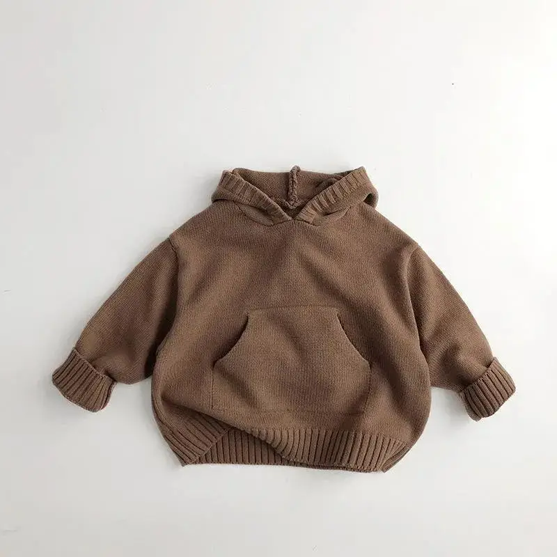0-6-year-old autumn new hooded baby clothes baby sweaters toddler knitted sweaters newborn knitted long sleeved cotton baby pull