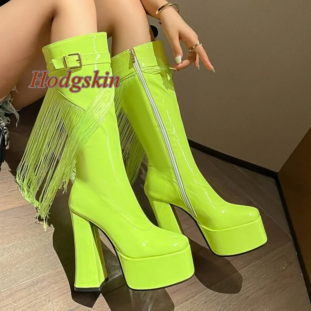 

Fringe Belt Buckle Boots Chunky High Heel Mid Calf Pointed Toe Back Zipper Boots Fashion Casual 2025 Newest Winter/autumn Boots