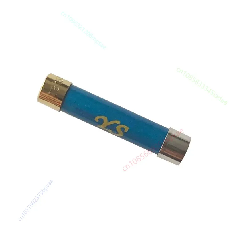 YS HIFI Gold Plated Silver Cap Nano Oil Immersed Fuse Audio Amplifier Tube CD Decoder Fuse 5x20mm 6x32mm 125mA-30A