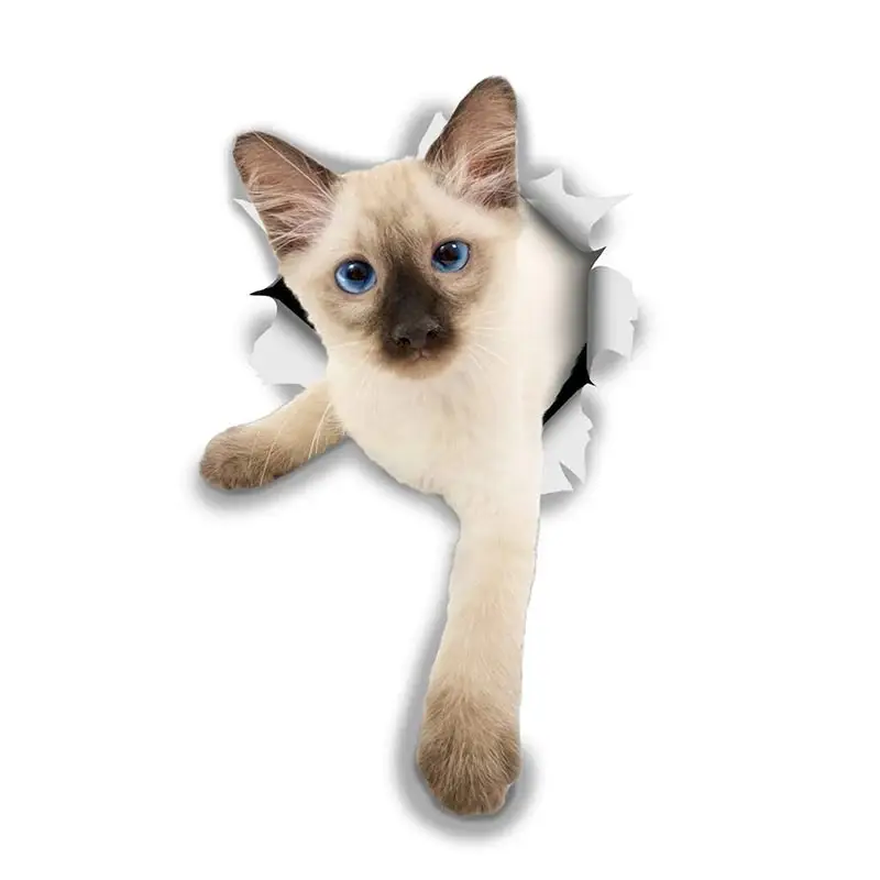 M458 Katze Aufkleber Breakout Siamese Wandaufkleber Home Dekoration Toilette Aufkleber für Schlafzimmer Küche Wohnzimmer Wände Dekor – Detail 9
