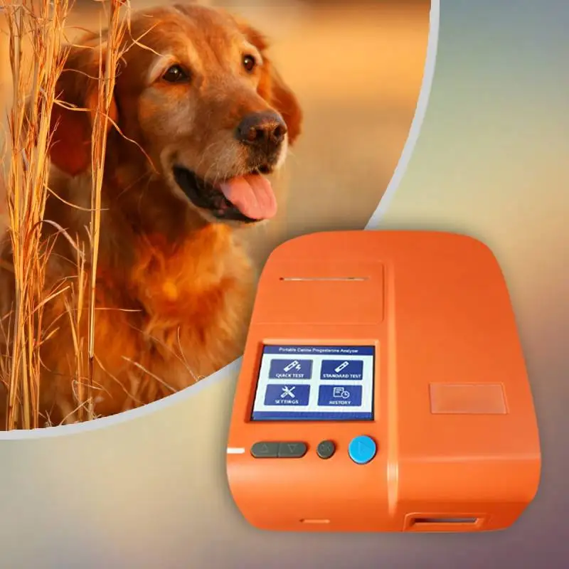 canine hormones progesterone analyzer progesterone test machine for dog