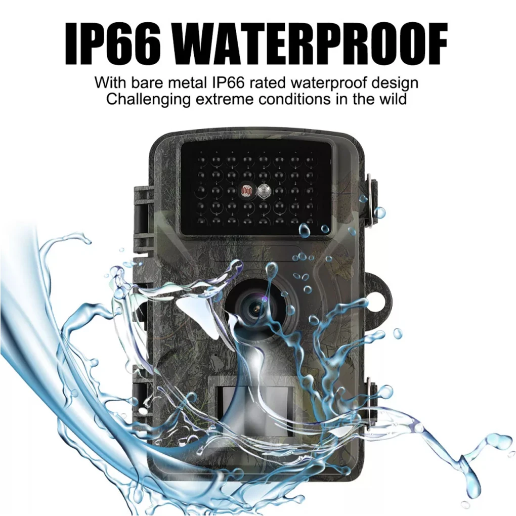 #18 New Wildlife Cameras Arrivals