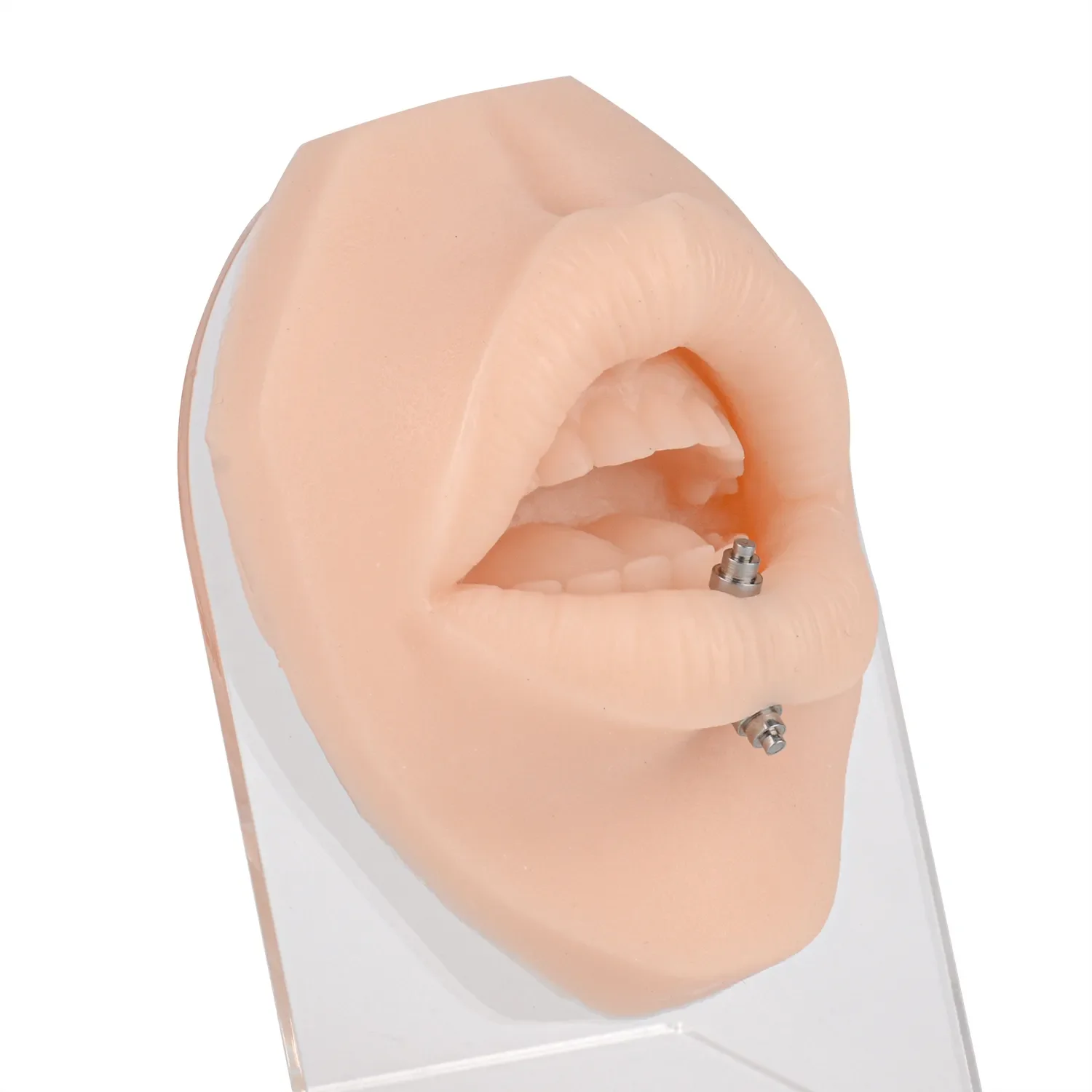 

Ultrassist Silicone Lip Piercing Practice Model with Ring Display Stand
