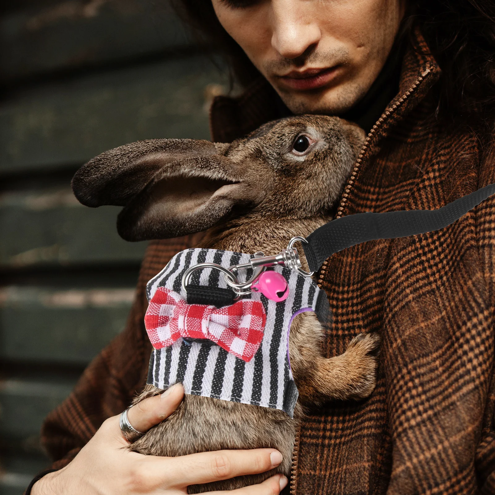 

1 set Small Pet Harness Bunny Clothes Kit Denim Material Skin Friendly Fit For Hamster Rabbit Guinea Pig Outdoor Walking Party